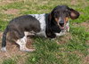 Rudy in TN (yes I'm a girl)