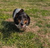 Rudy in TN (yes I'm a girl)