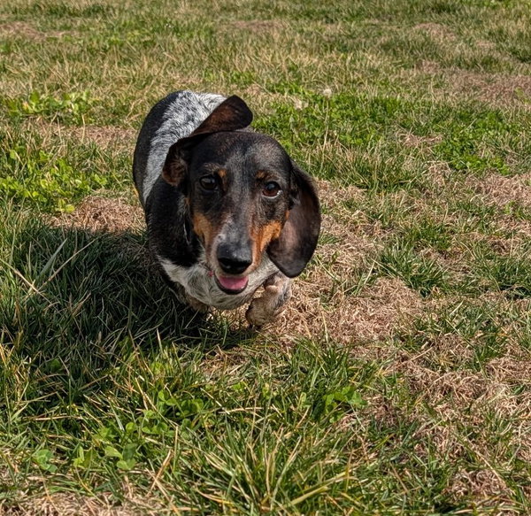 Rudy in GA (Yes, I'm a girl)