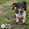 Rudy in TN (yes I'm a girl)