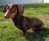 Slinky in GA