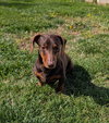 Slinky in GA