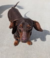 Slinky in GA