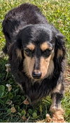 Skylar in ky