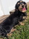 Skylar in ky