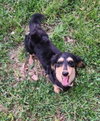 Skylar in ky