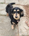 Skylar in TN