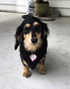Skylar in ky