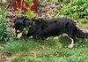 Skylar in ky