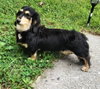 Skylar in ky