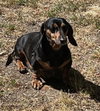 Jake in VA
