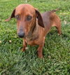 Hugo in TN