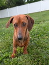 Hugo in TN