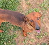 Hugo in TN