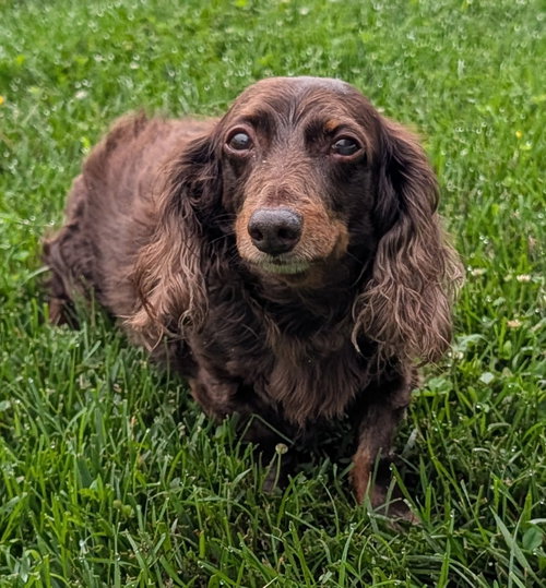 Winston aka Winnie in NY