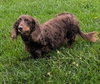 Winston aka Winnie in NY