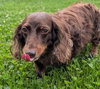 Winston aka Winnie in NY