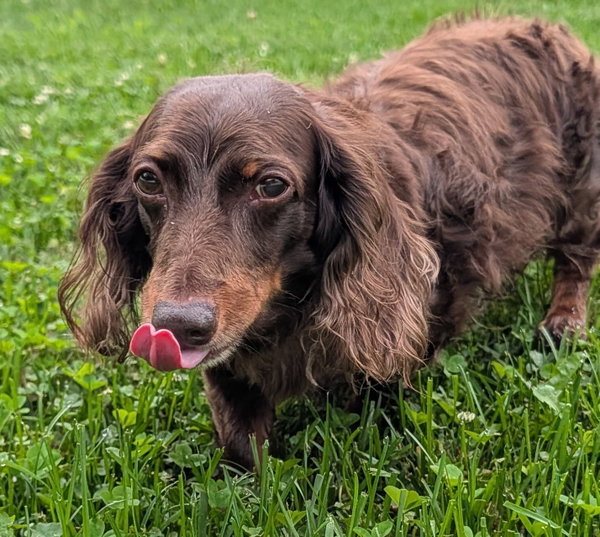 Winston aka Winnie in NY