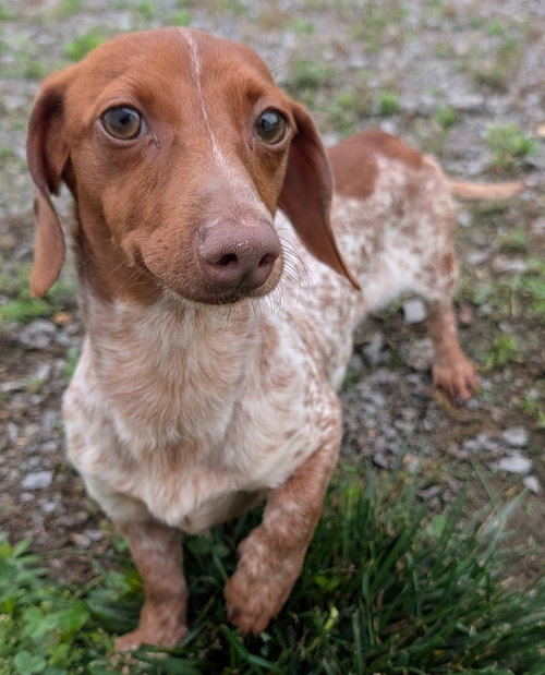 Hank in WI