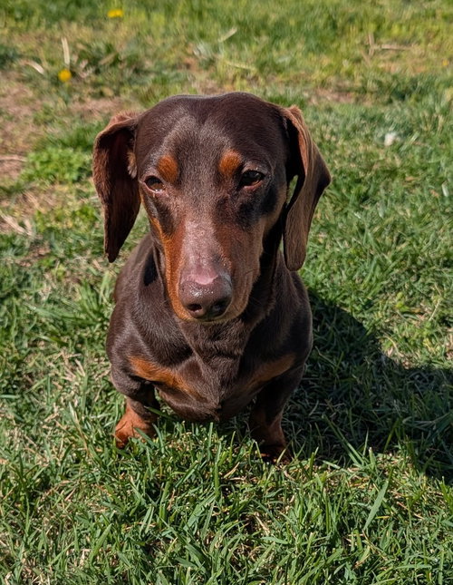 Slinky in GA and Snickers in NC