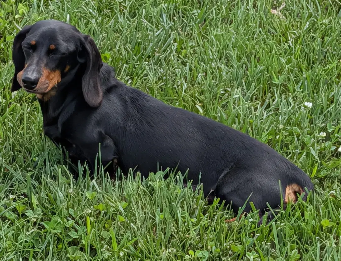 Malorie In Fl image 3