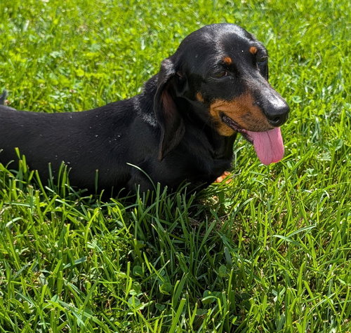 Malorie in FL photo 5