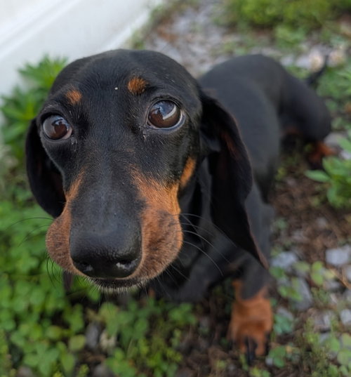 Malorie in FL photo 6