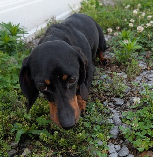 Malorie in FL photo 7
