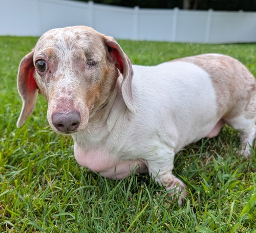 Coco in TN