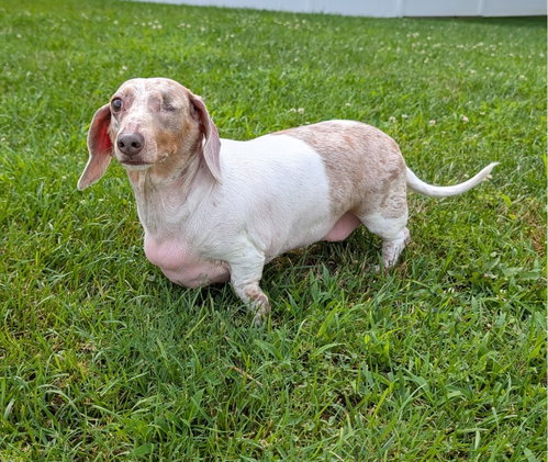 Coco In Tn photo 4