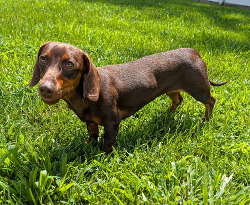 Ruby in TN photo 3