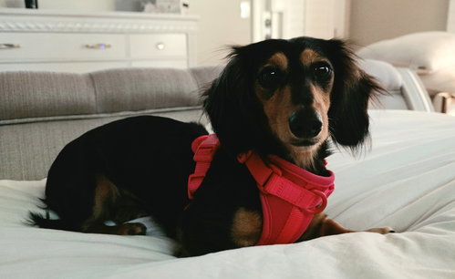 Jolene in NC photo 3