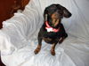 Prissy...MA