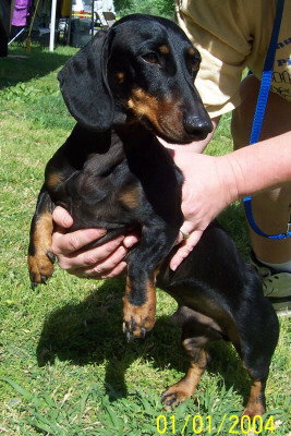 BUSTER..VA