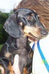 BUSTER..VA
