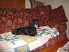 Brunie...CT