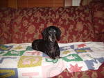 Brunie...CT