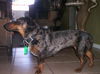 Molly 7...CA