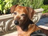 OSCAR 9...FL