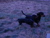 Oscar 10...NY