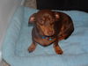 TUCKER...MD