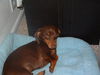 TUCKER...MD