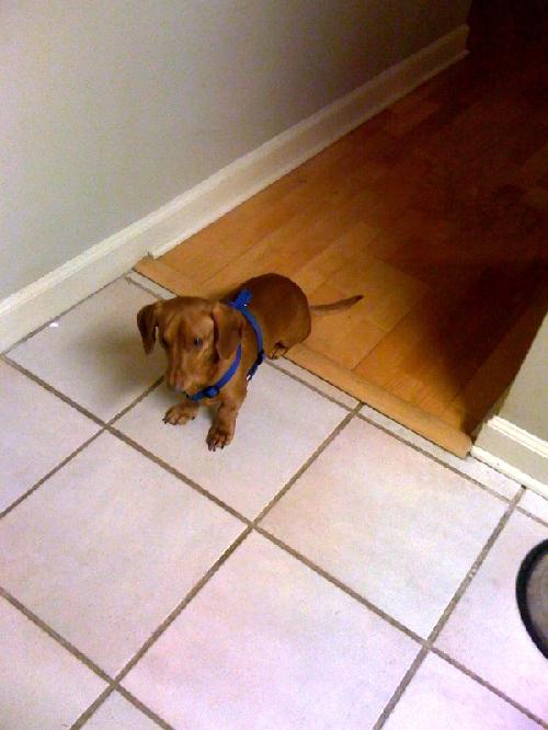 BUDDY(in MS)...MA