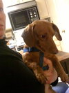 BUDDY(in MS)...MA