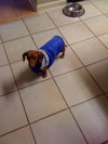 BUDDY(in MS)...MA