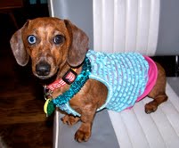 Trixie...FL
