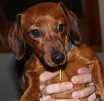 MOLLY7...MA