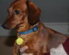 MOLLY7...MA