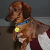 MOLLY7...MA