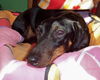 Oscar 11...WV